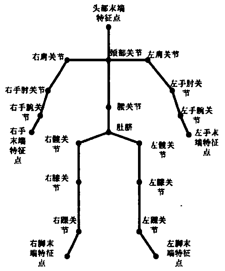 Three-dimensional human body standard skeleton extraction method for continuous frame point cloud