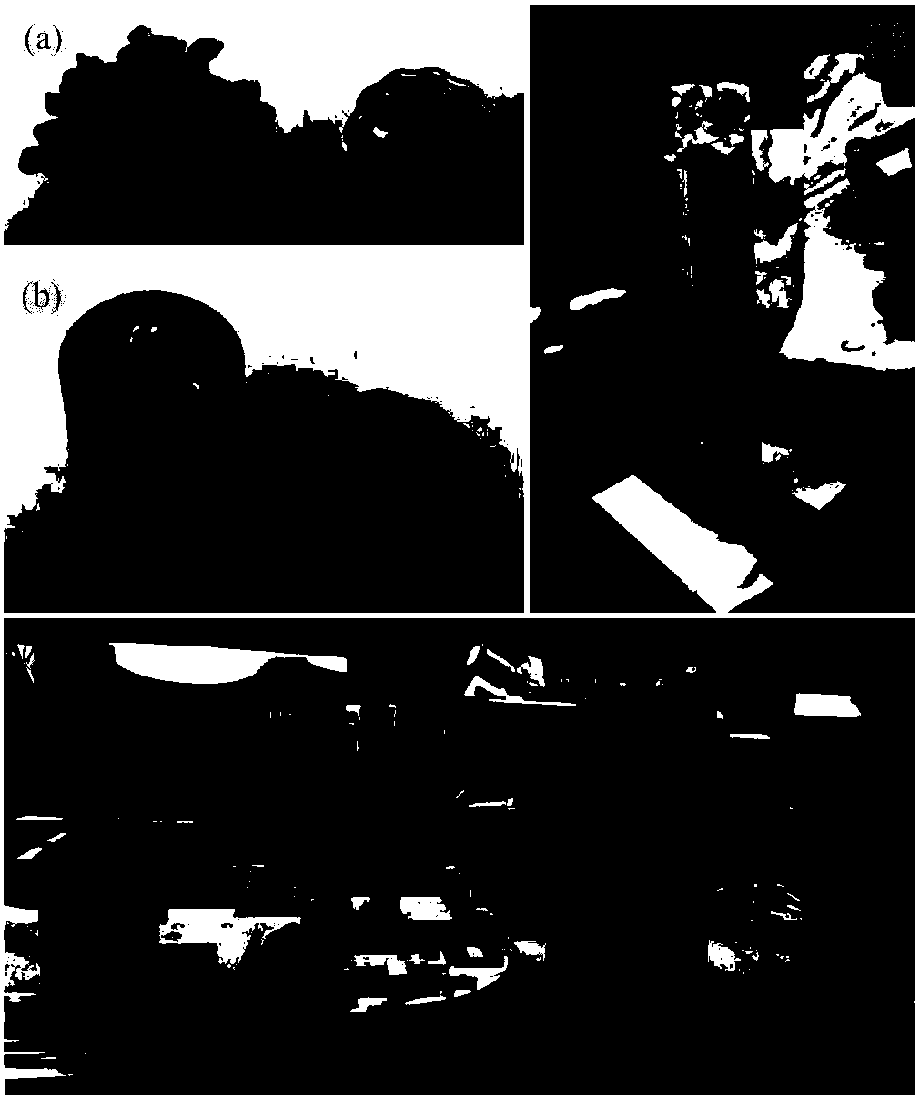 Particle identification and tracking method based on spherical harmonic function invariant