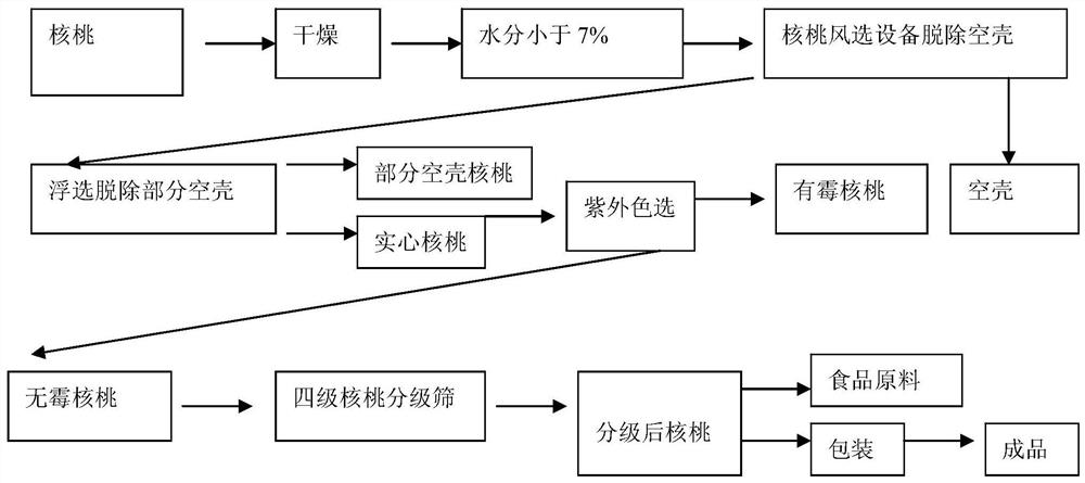 A kind of walnut selection processing technology