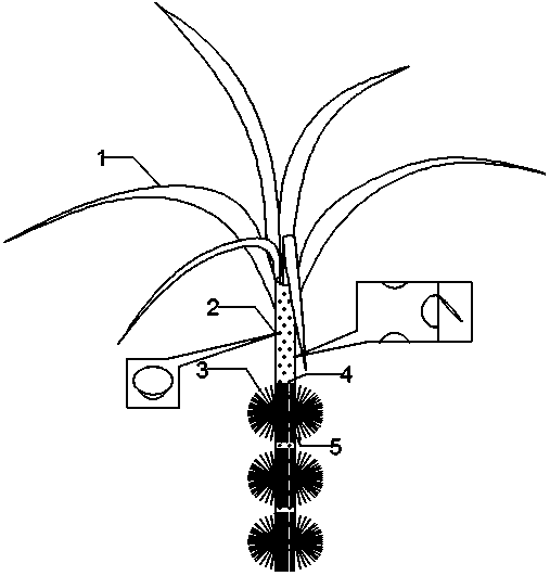 Method for restoring degraded riparian zone through imitated vegetation