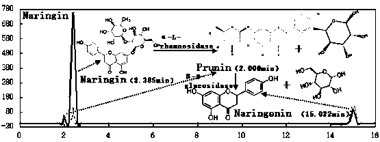 A kind of aspergillus oryzae and application thereof