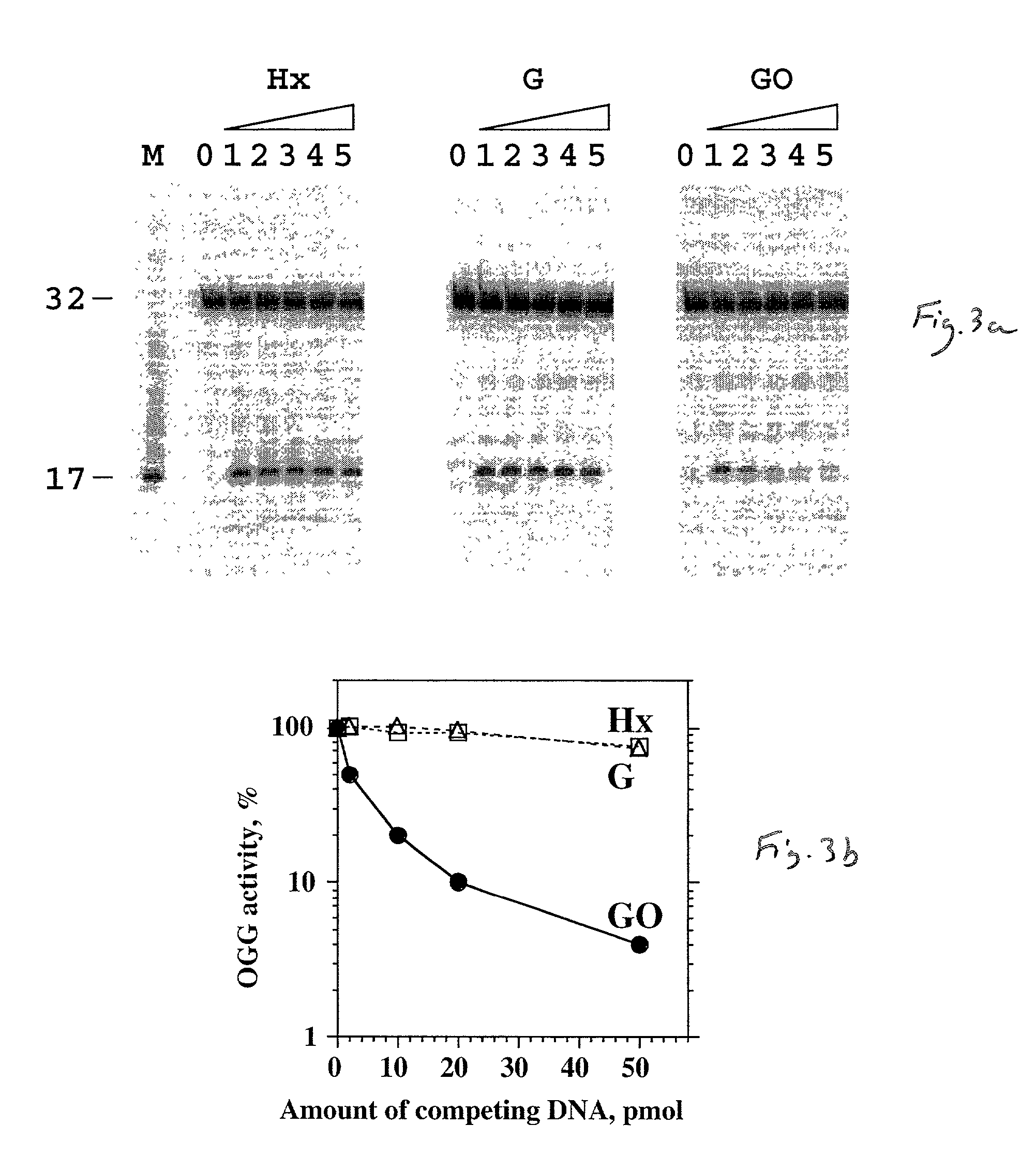 Methods and kits for determining a risk to develop cancer, for evaluating an effectiveness and dosage of cancer therapy and for correlating between an activity of a DNA repair enzyme and a cancer