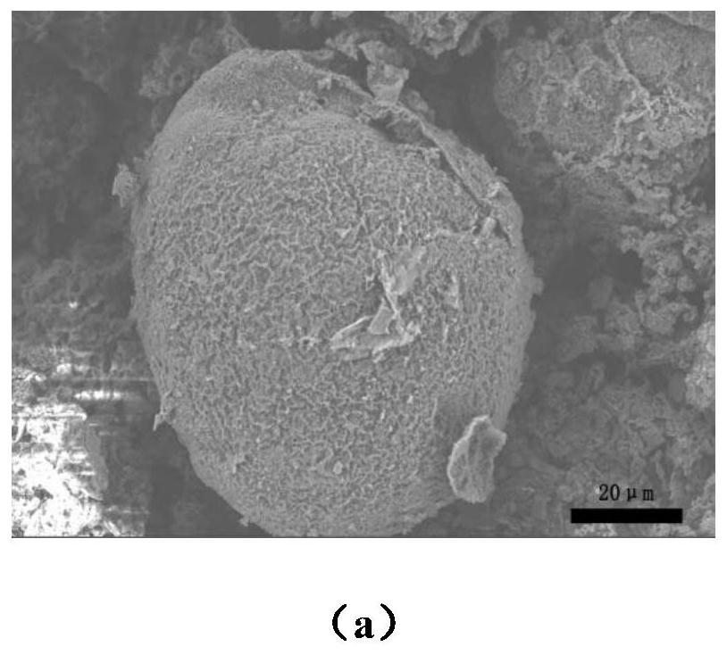 Preparation method of lithium iron phosphate/carbon nanotube microsphere cathode material, optimization method of cathode material and aqueous lithium ion capacitor