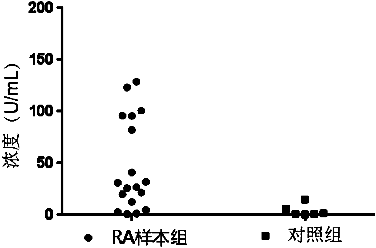 Homogeneous immunodetection kit for detecting anti-cyclic citrullinated peptide antibody and application thereof