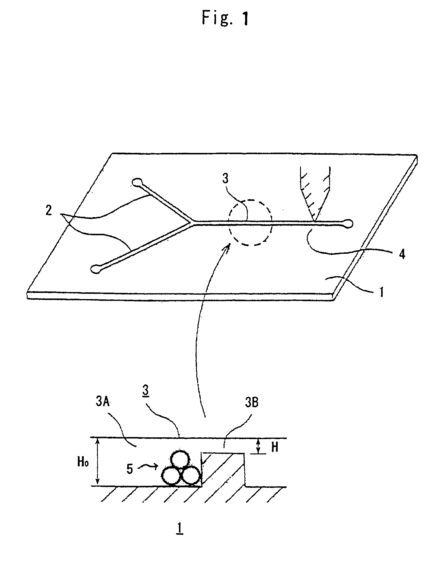 Enzyme immunoassay chip and method