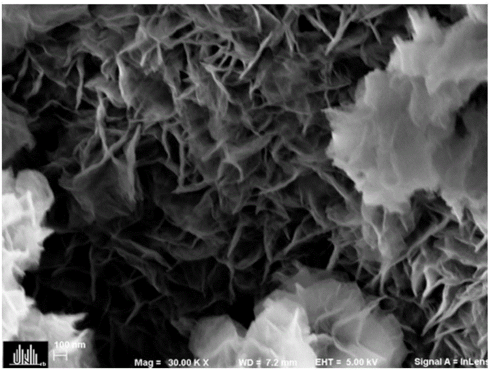 Preparation method of layered ferronickel hydroxide electrode