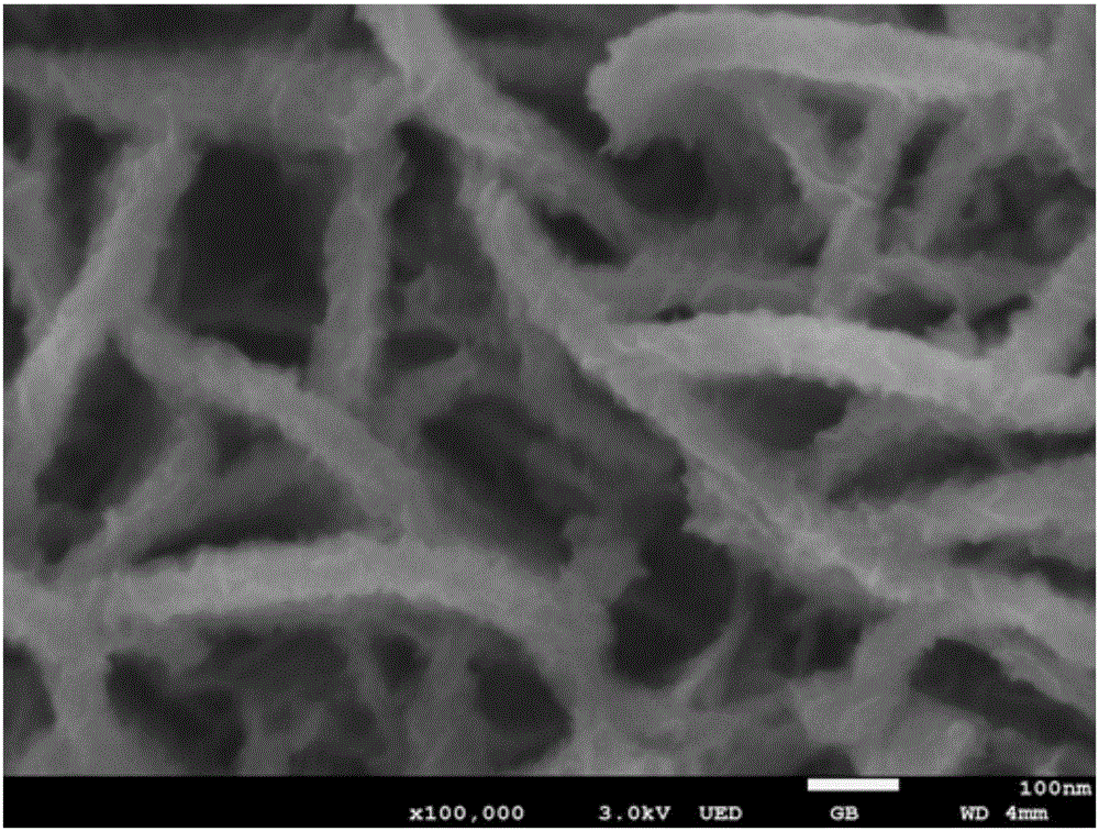 Preparation method of layered ferronickel hydroxide electrode