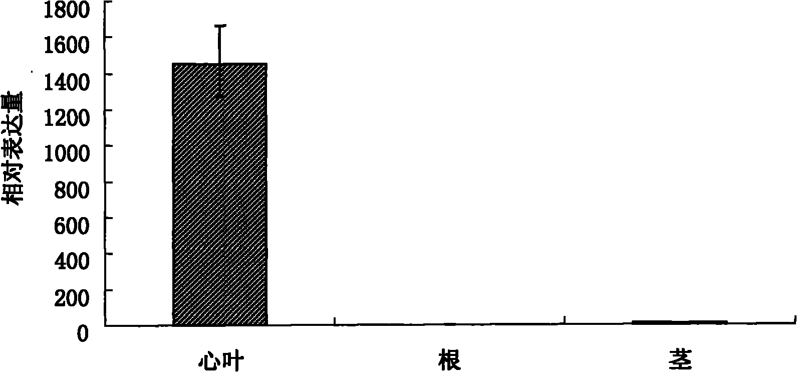 Promoter of specificity of heart leaves of Zea mays ssp. Mays L. and application thereof