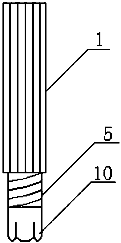 Non-cranium-drill cranial ridge punching device for big and small mice