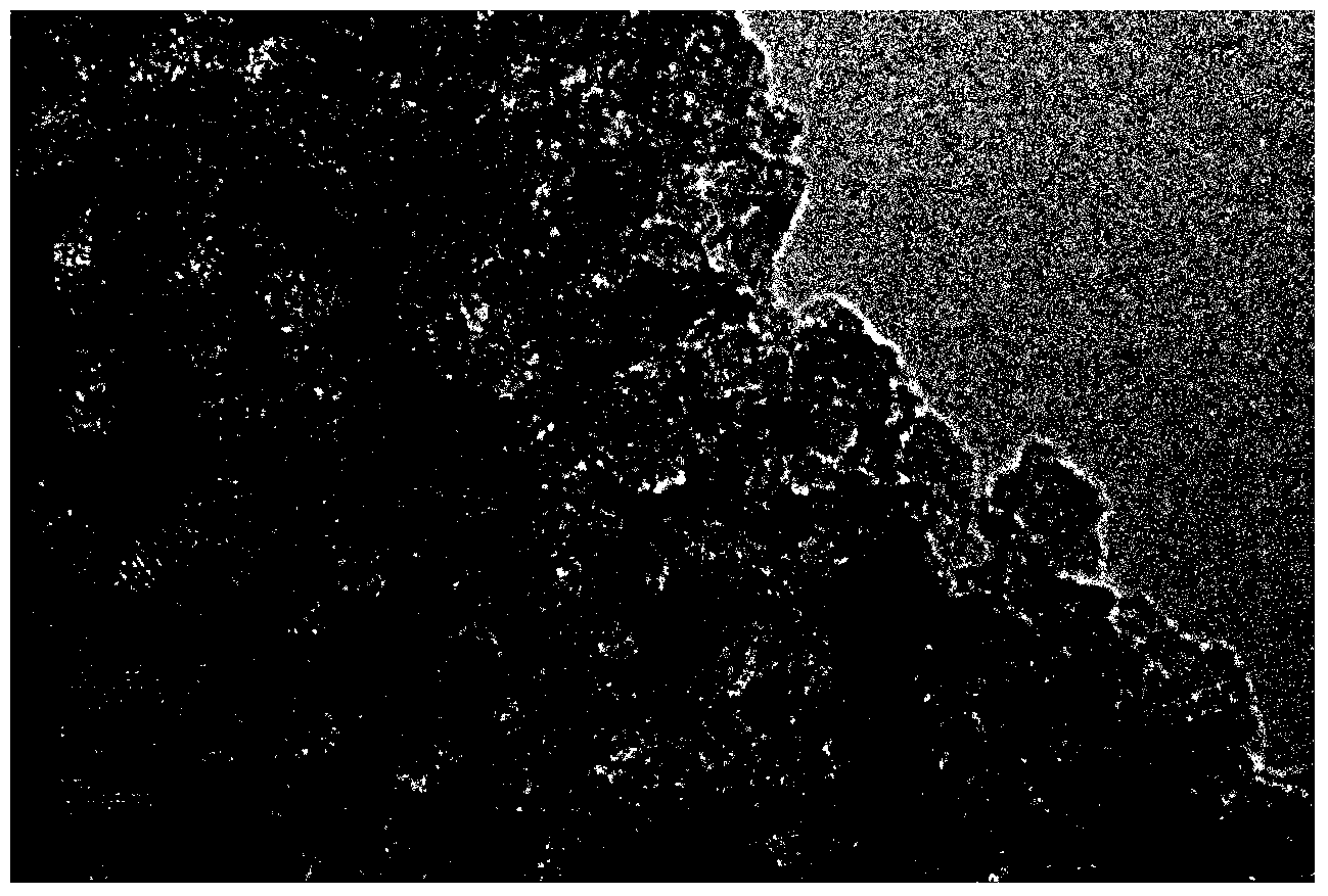 Preparation method for anatase type microporous titanium dioxide material for purifying indoor air