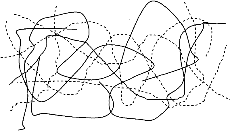 Ion exchange membrane of interpenetrating network structure and preparation method thereof