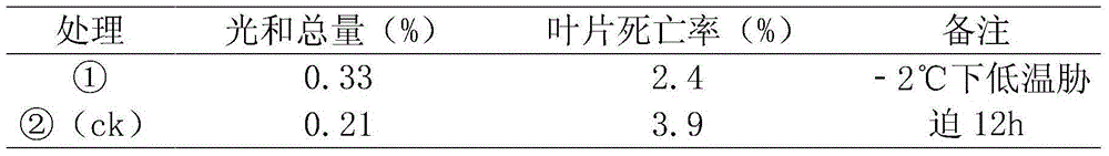 Method for improving chilling resistance of plant via glycine betaine