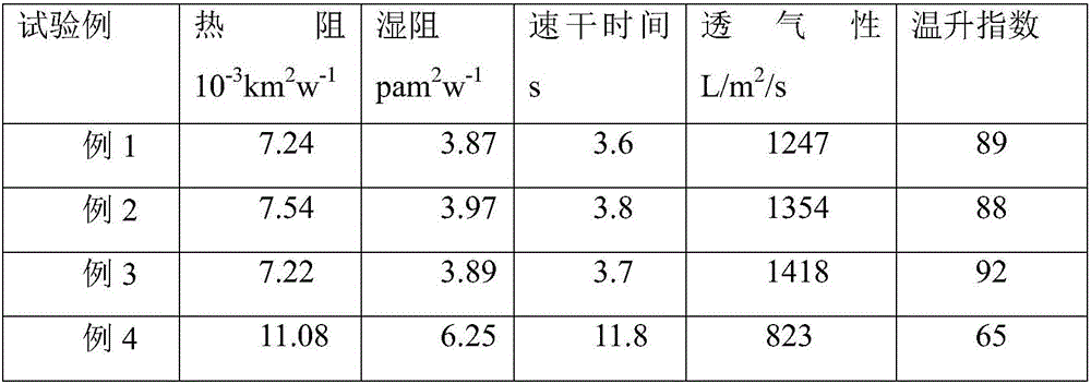 Composite fabric and preparation method thereof