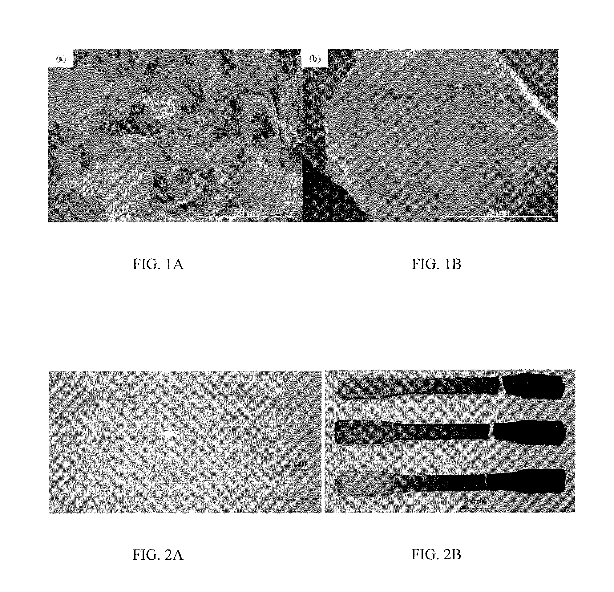 Polyethylene terephthalate-graphene nanocomposites