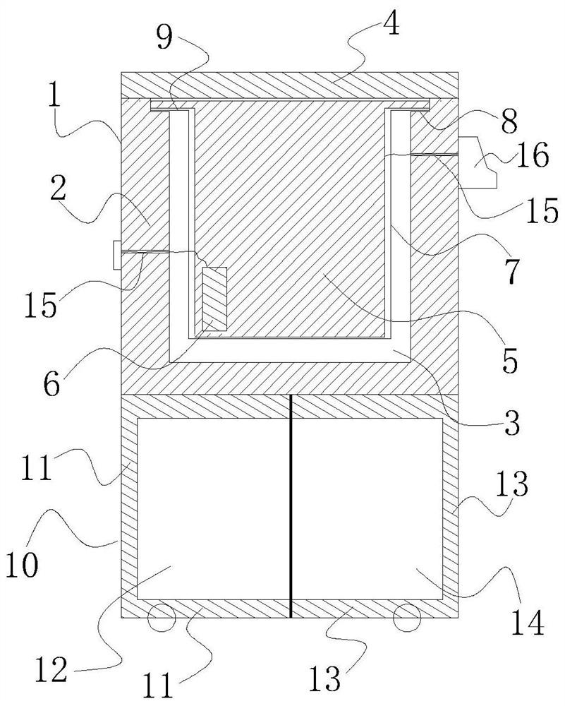 A kind of autologous arterial blood purified liquid injection preparation and its preparation and application