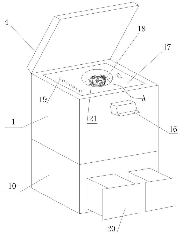 A kind of autologous arterial blood purified liquid injection preparation and its preparation and application