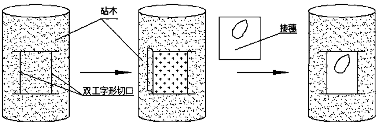 Double-cut bud grafting method suitable for grafting