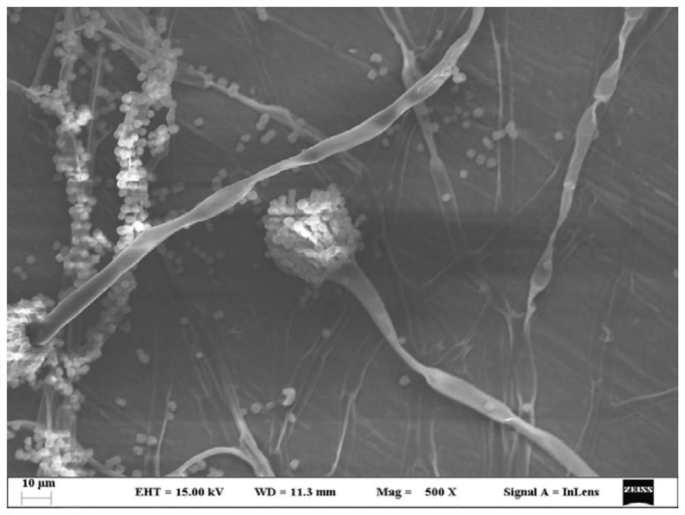 Application of double-conductive aluminum foil adhesive tape