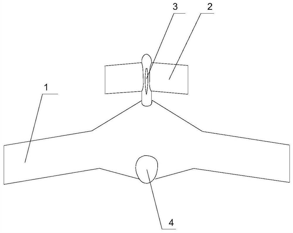 Canard flying wing aerodynamic layout unmanned aerial vehicle