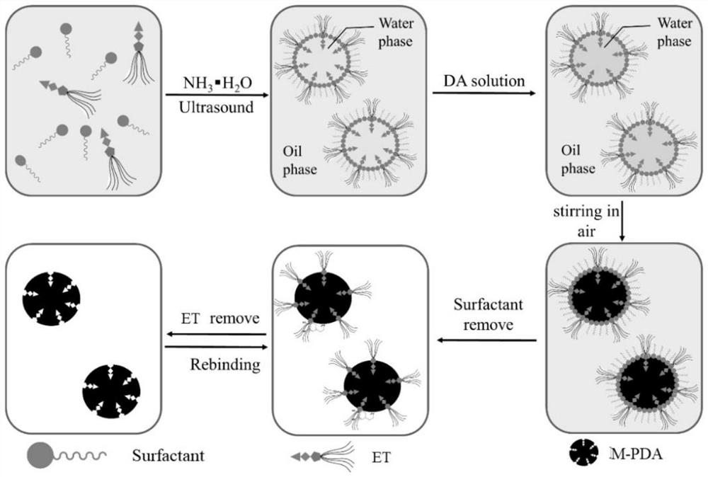 Multi-functional photo-thermal nano bactericidal material and preparation and application thereof