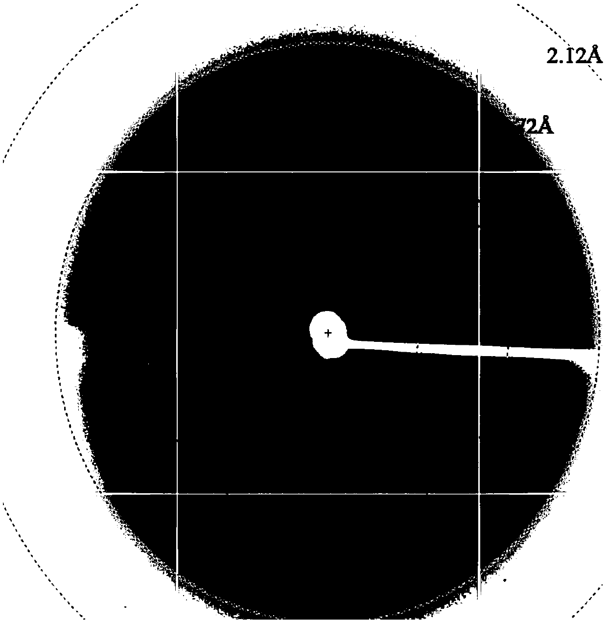 Preparation method and crystallization method of oryza sativa receptor protein RGA5A_S