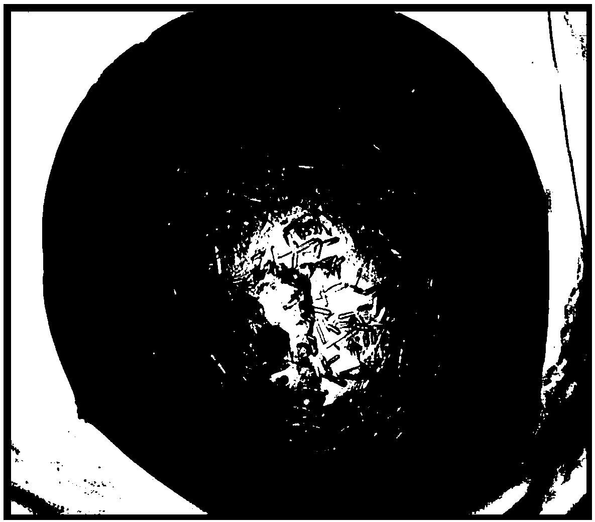 Preparation method and crystallization method of oryza sativa receptor protein RGA5A_S