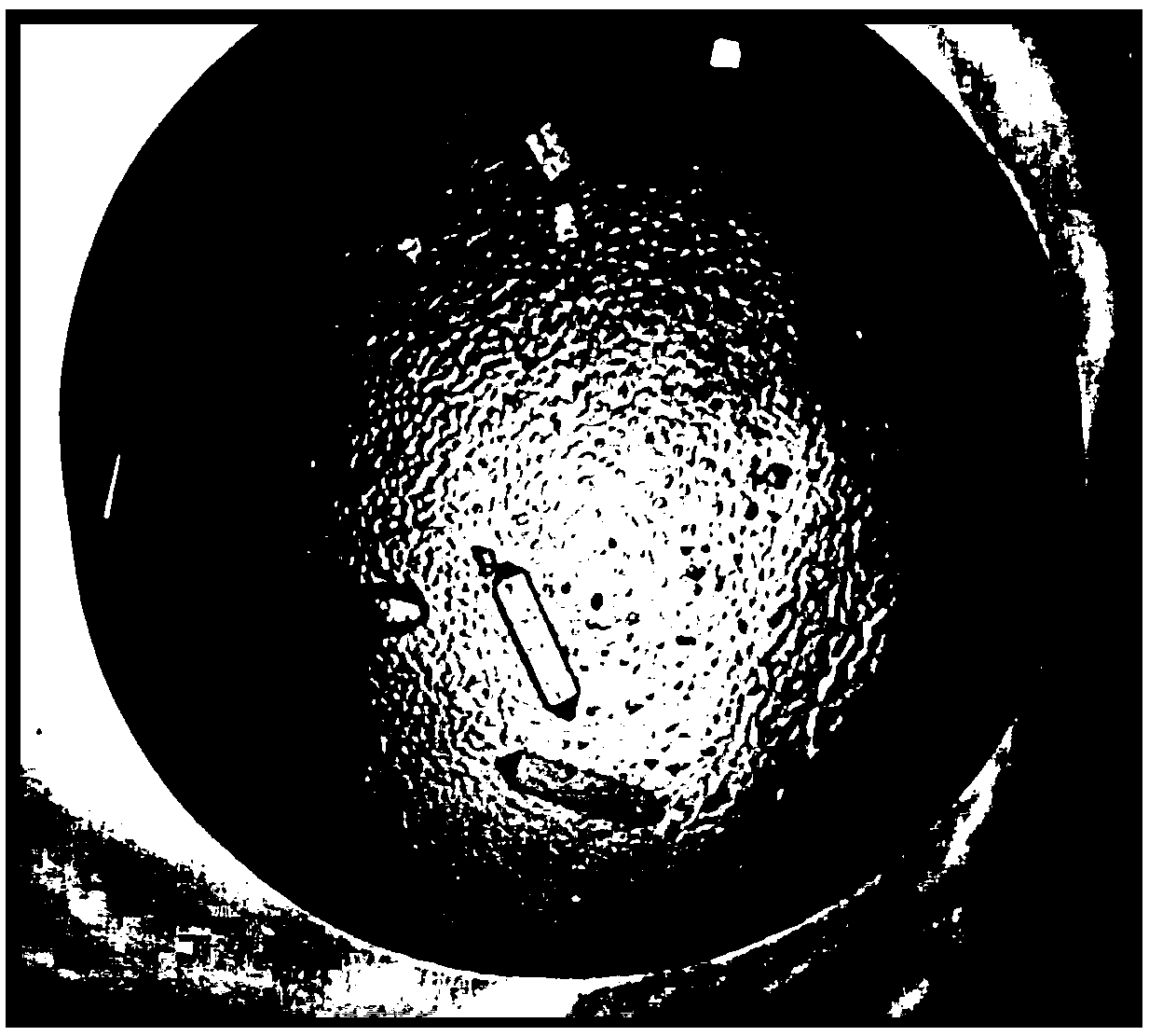 Preparation method and crystallization method of oryza sativa receptor protein RGA5A_S