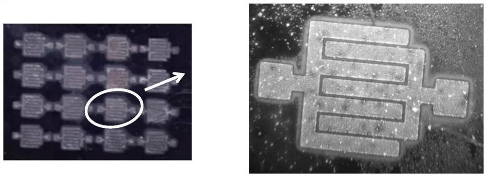 Preparation method and application of ionic liquid modified quantum dots