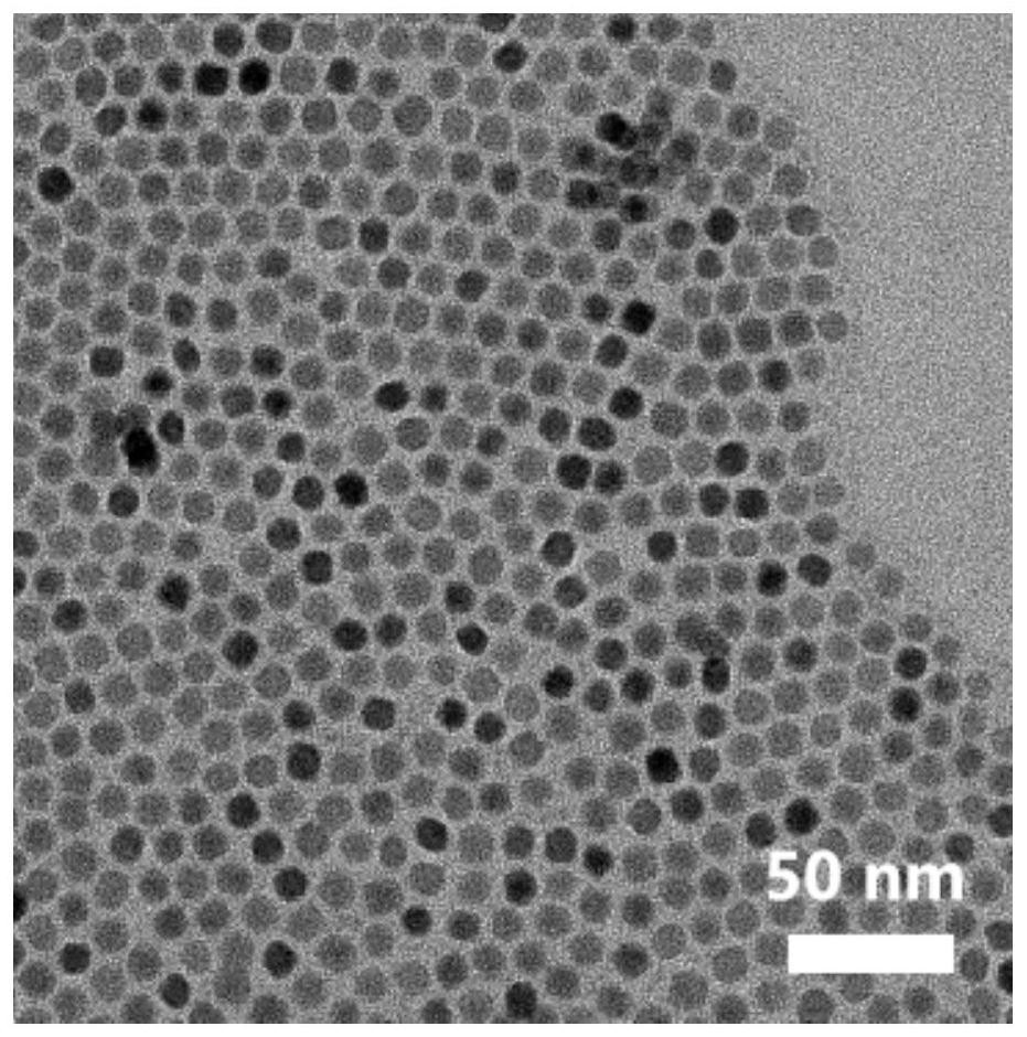 Preparation method and application of ionic liquid modified quantum dots