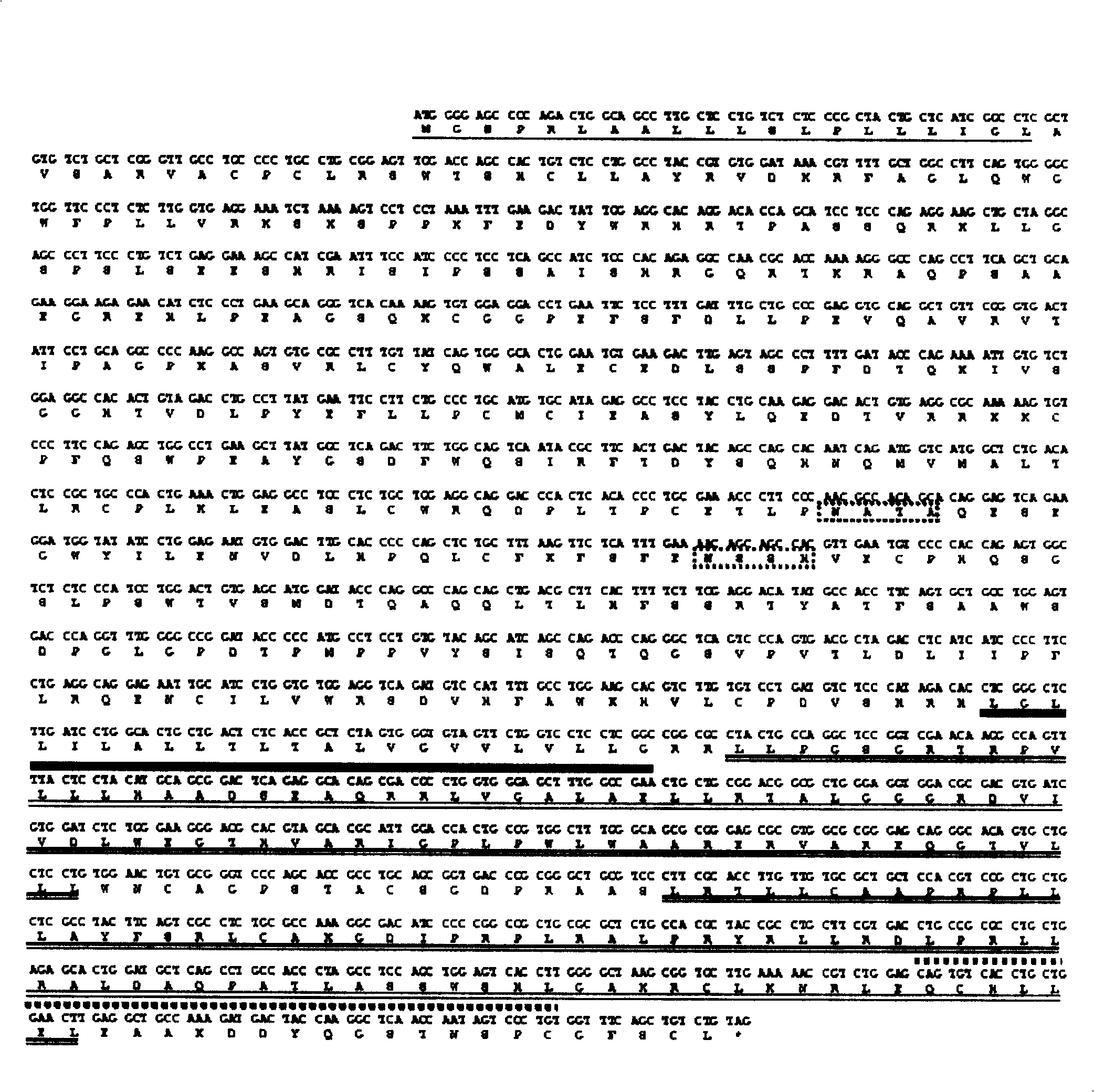 Interleukin-17 acceptor, and its coding gene and application