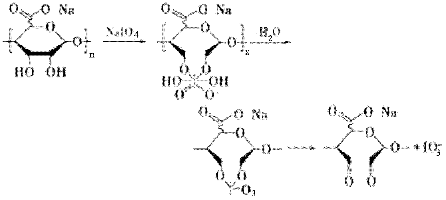 End-point fixing preparation method for multi-aldehyde alginic acid coating