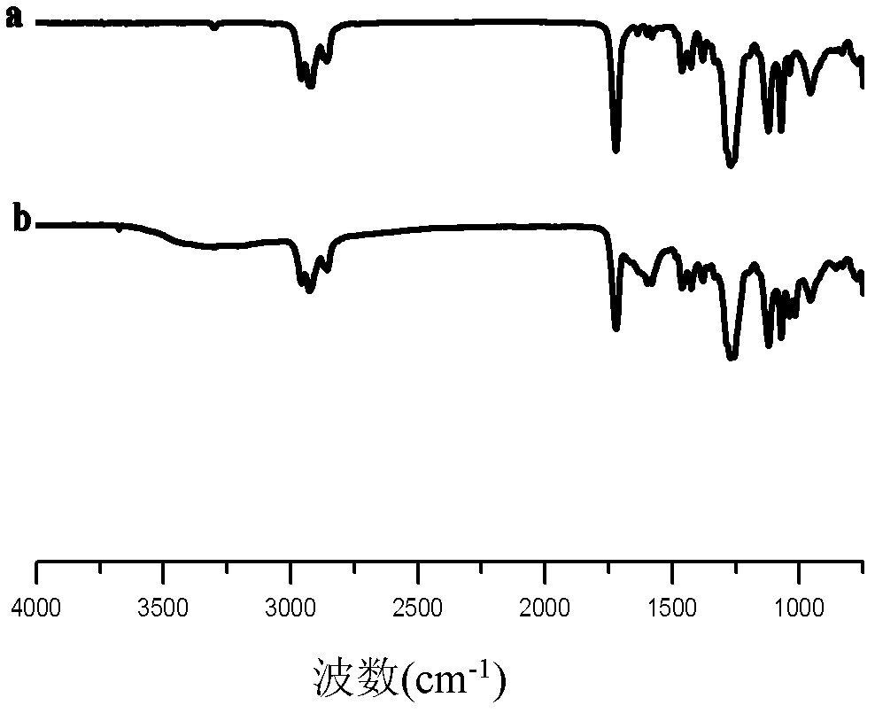 End-point fixing preparation method for multi-aldehyde alginic acid coating