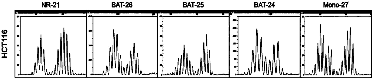 A DNA probe library, detection method and kit for hybridizing microsatellite loci associated with microsatellite instability