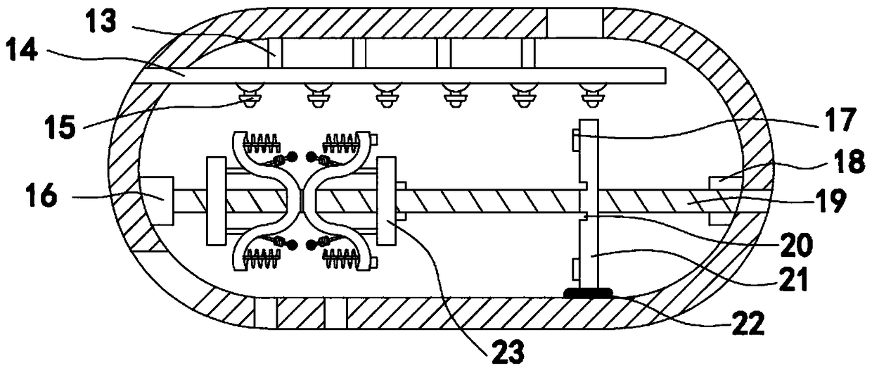 Mechanical shrimp peeling tool