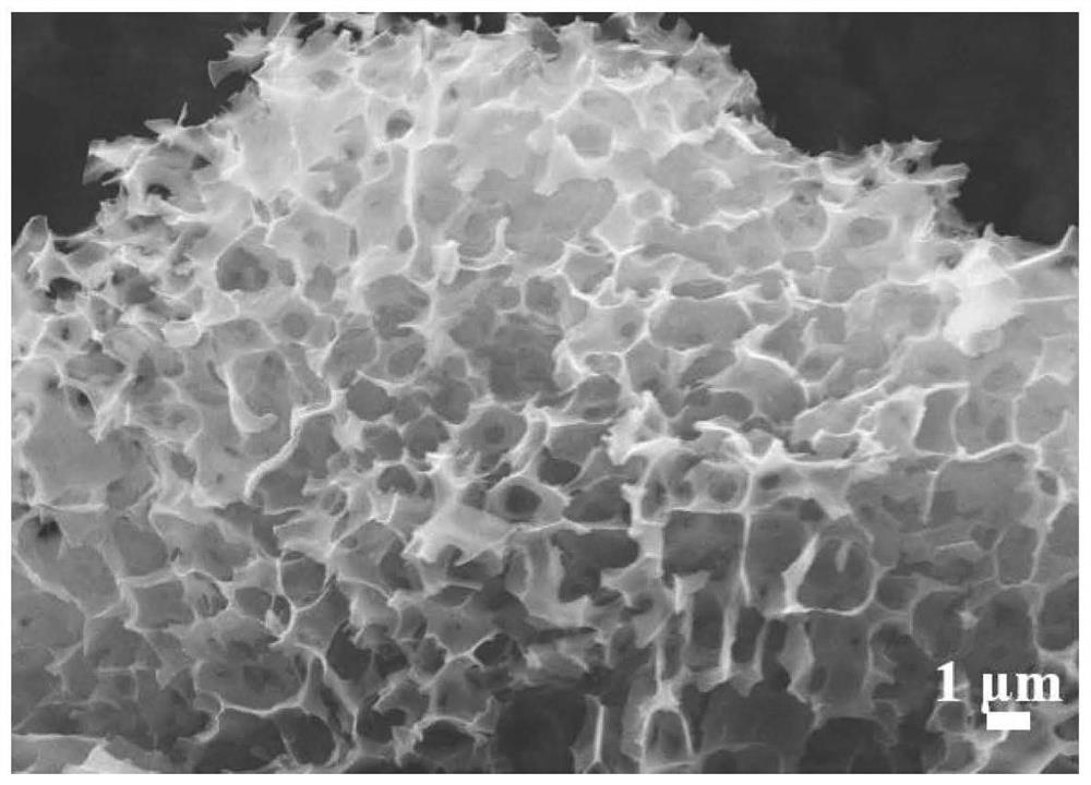 Boron-sulfur co-doped spongy porous carbon, preparation method thereof, carbon electrode and zinc ion hybrid capacitor