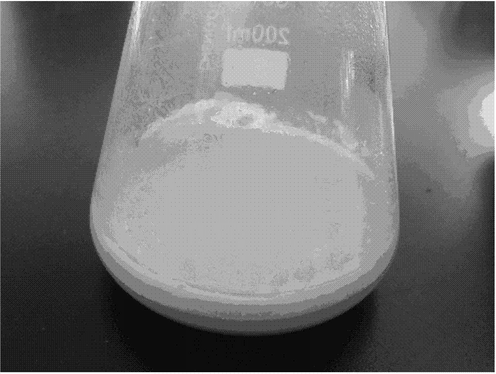 Preparation method for active probiotic fermentation sour soybean milk