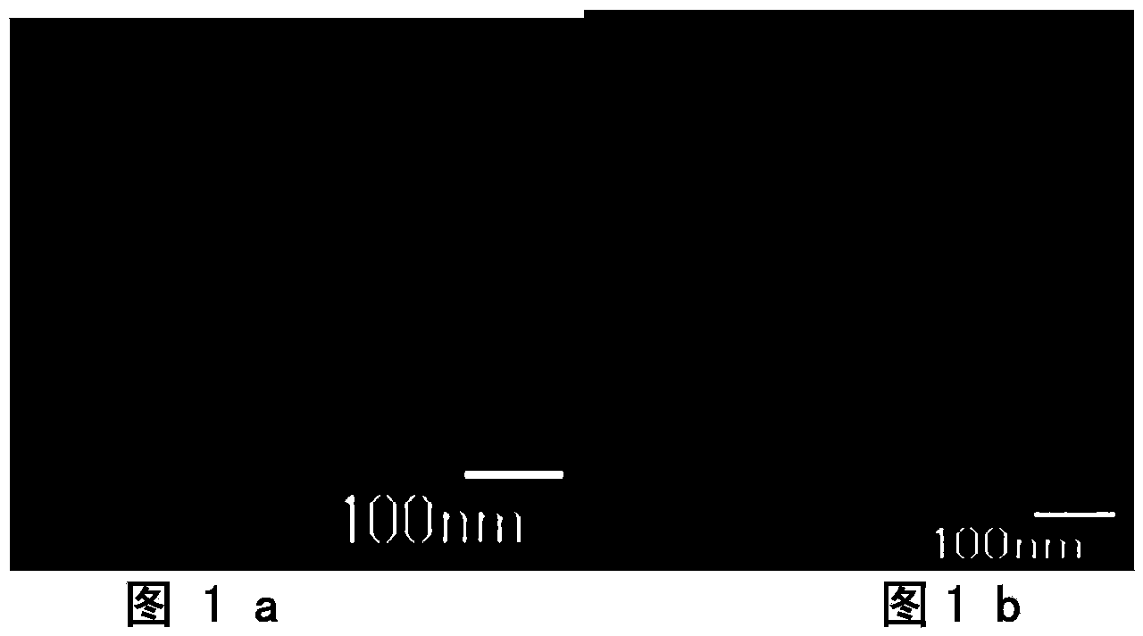 MnSe/TiO2 composite film for photogenerated cathode protection as well as preparation and application thereof