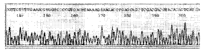 Method for detecting telomerase activity