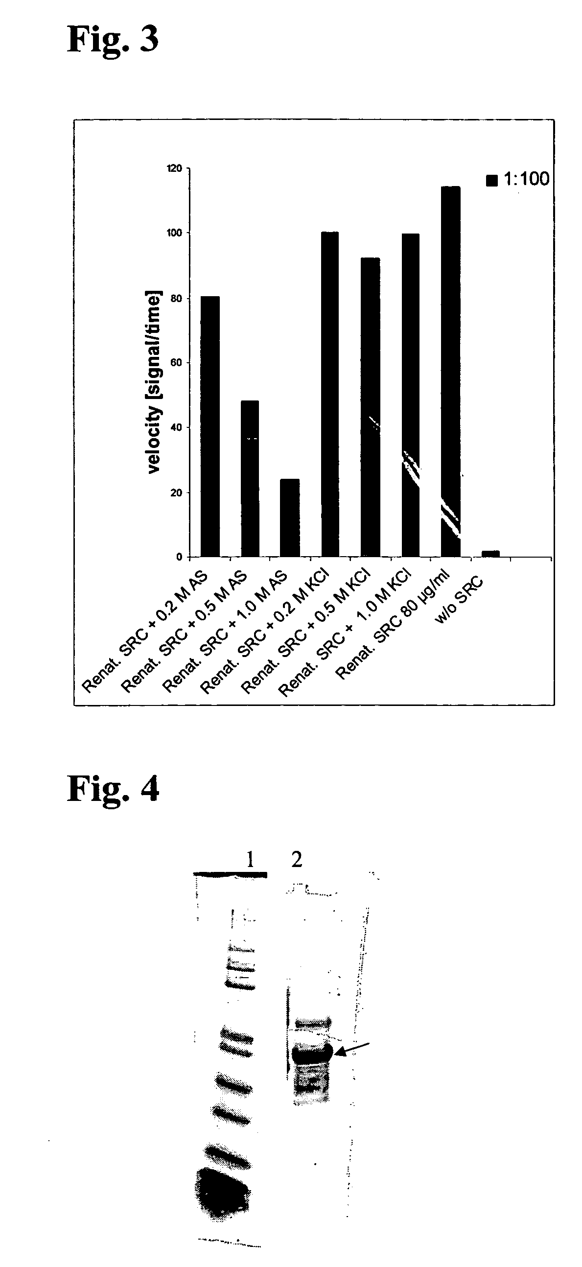 Method for the recombinant production and purification of protein kinases