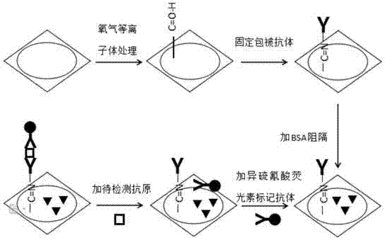 3D folding paper base microfluid fluorescence detection device for simultaneously detecting multiple tumor markers