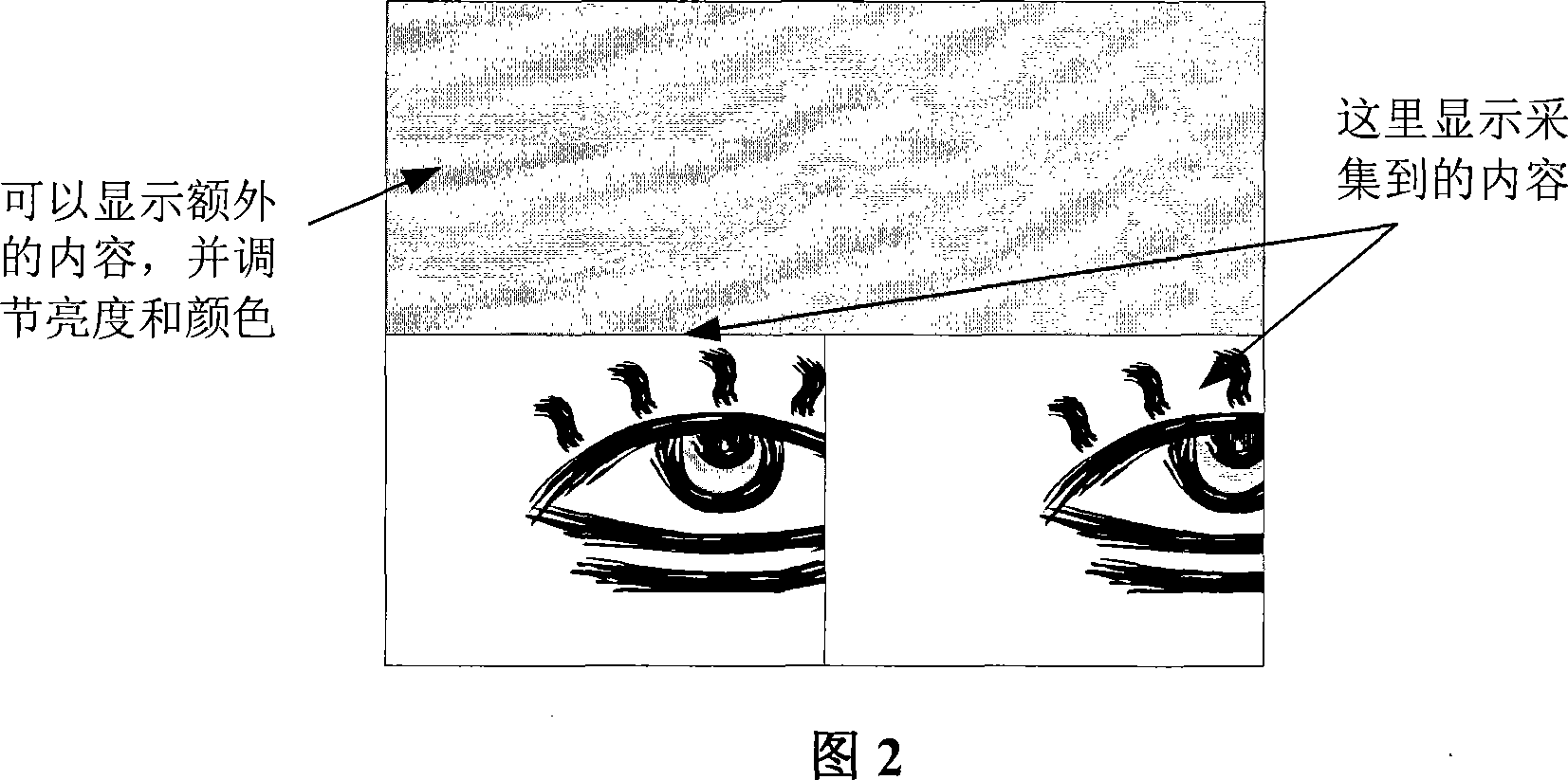 Multiple iris collecting device using active vision feedback