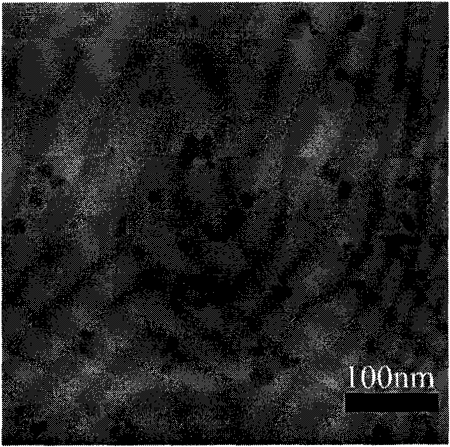 Preparation method of superparamagnetic Fe3O4 nano-particles