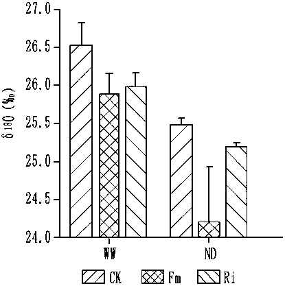 Method for comprehensively determining water absorption and utilization by plants