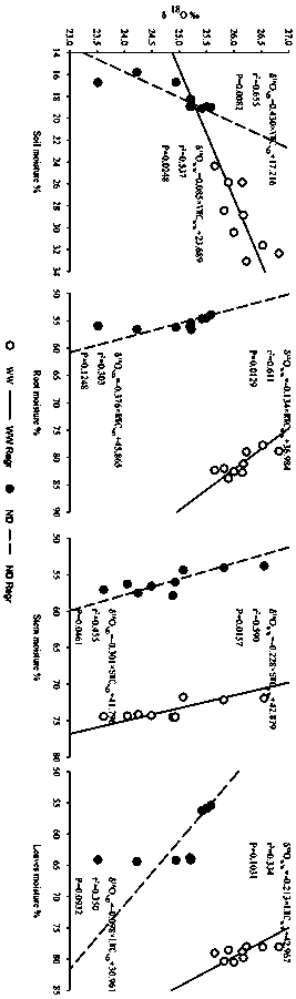 Method for comprehensively determining water absorption and utilization by plants