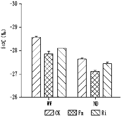 Method for comprehensively determining water absorption and utilization by plants