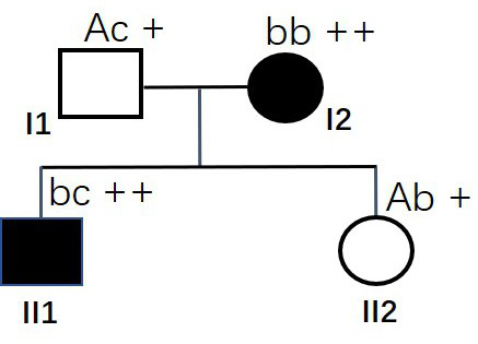 A mutated msh6 gene at position 12759 and its application