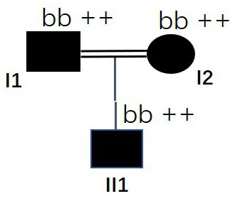 A mutated msh6 gene at position 12759 and its application