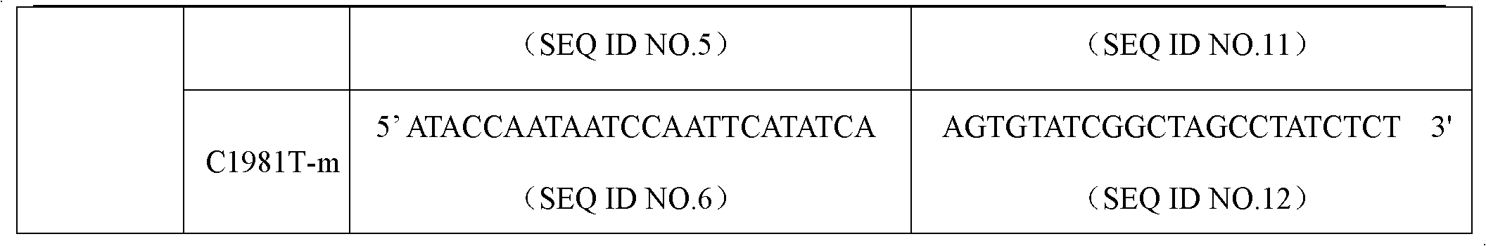 RB1 gene mutation detection specific primer and liquid chip