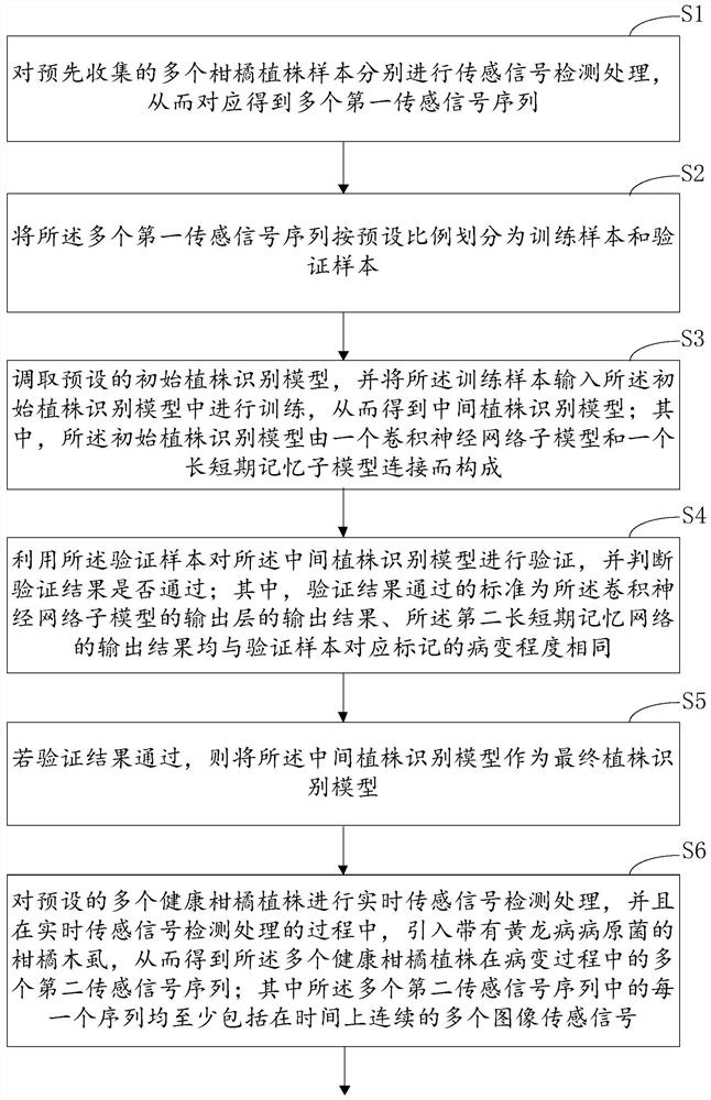 Huanglongbing prevention and control method and device based on plant identification model and computer equipment