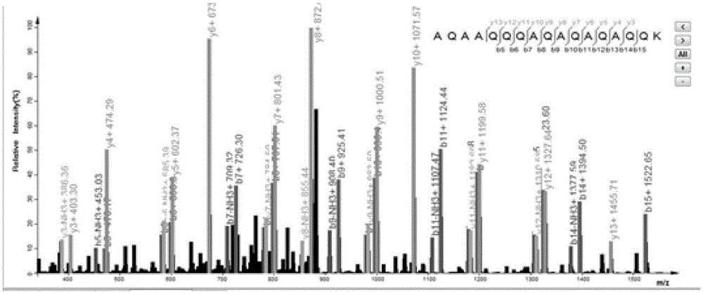 Tandem mass spectrometric identification method for protein based on matching between characteristic information of target database and decoy database